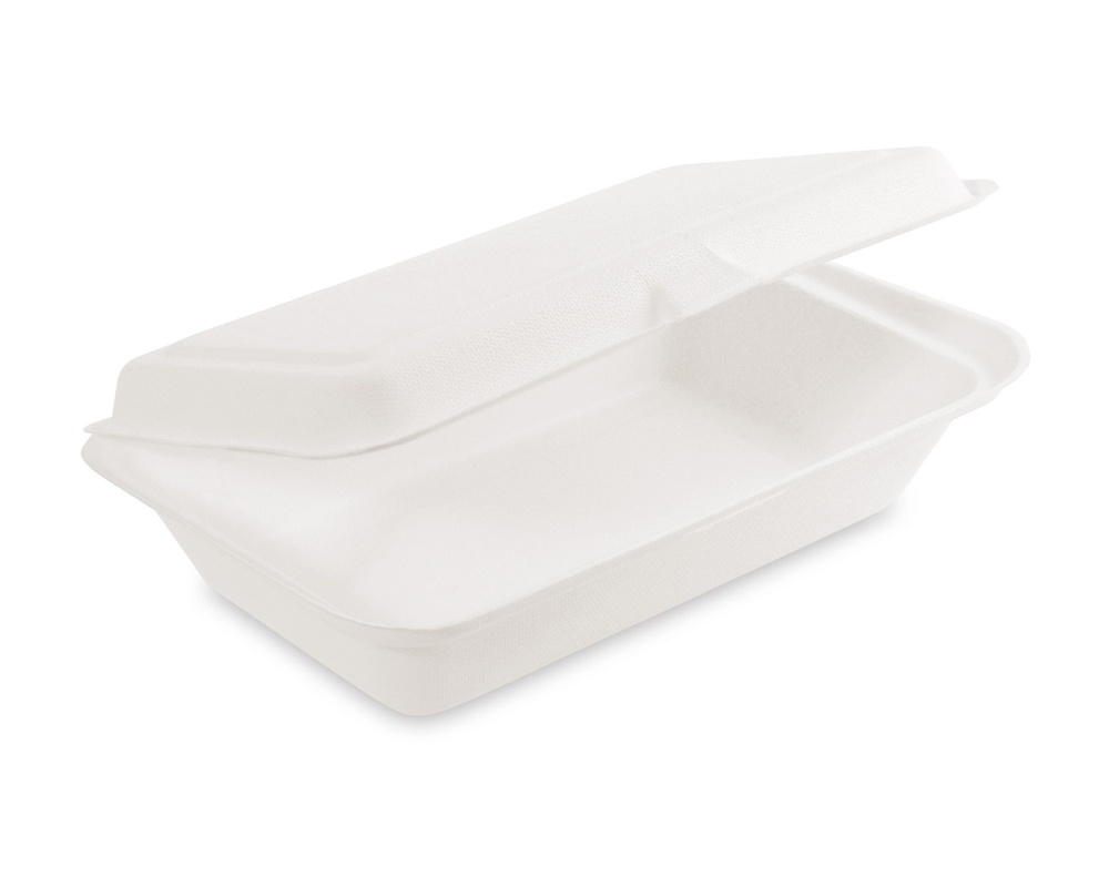 Bio Menüboxen Lunch-Boxen Sandwichbox Zuckerrohr kompostierbar 250x162x63mm, 50 Stk.