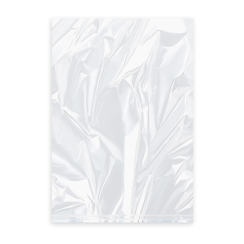 Universal Flachbeutel 250 x 400 mm 5 liter 'XL' HDPE gerollt transparent 50 Stk.