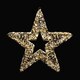 Stern, aus Metall/PET gold, mit LED, warmweiß, Ø38cm
